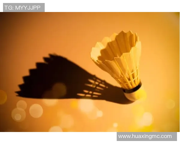 广州羽毛球队与南京羽毛球队赛后复盘分析力量对决的精彩瞬间与战术策略